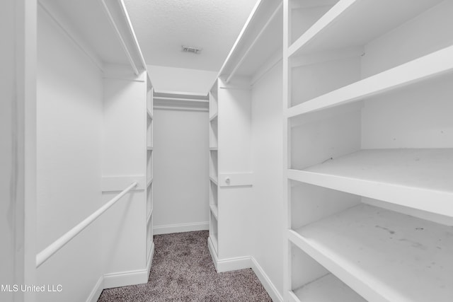 709 Champagne Dr, Biloxi, MS 39532 - walk in closet featuring carpet floors