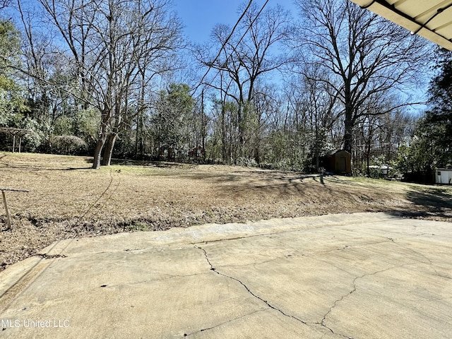 view of yard featuring a storage shed and an outdoor structure