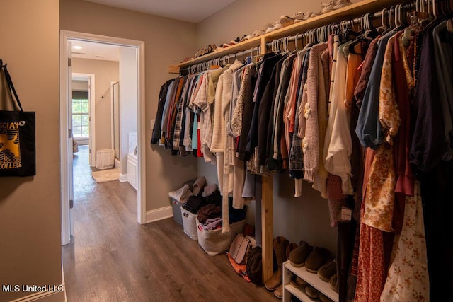 spacious closet featuring wood finished floors
