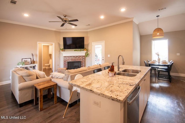 kitchen with a sink, stainless steel dishwasher, dark wood-style flooring, and visible vents