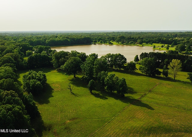 103 Hidden Lake Rd, Flora, MS 39071 - aerial view of a nearby body of water