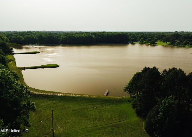 103 Hidden Lake Rd, Flora, MS 39071 - water view