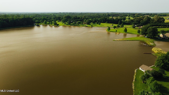 103 Hidden Lake Rd, Flora, MS 39071 - bird's eye view of a nearby body of water