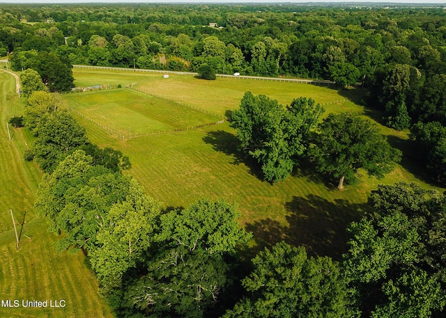103 Hidden Lake Rd, Flora, MS 39071 - aerial view of sparsely populated area