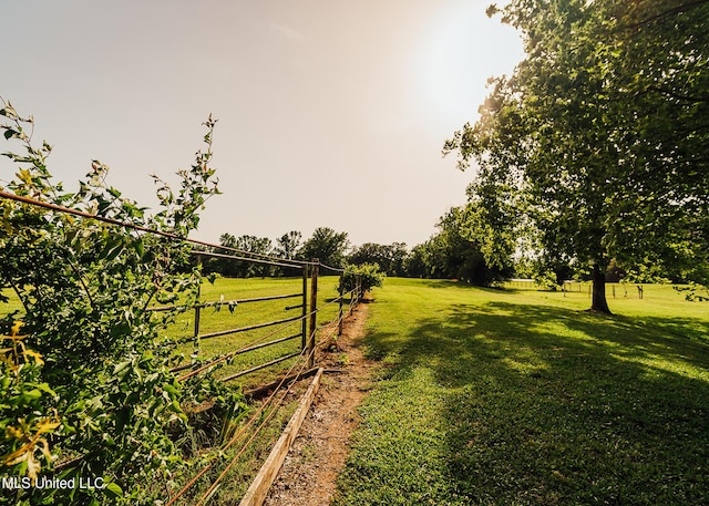 103 Hidden Lake Rd, Flora, MS 39071 - view of yard