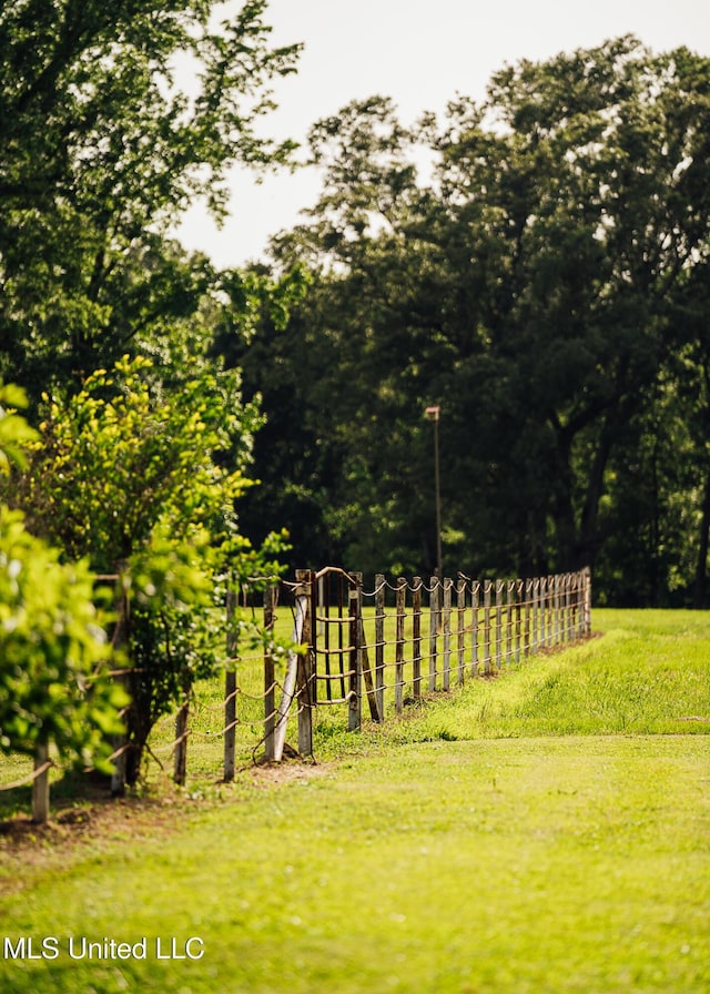 103 Hidden Lake Rd, Flora, MS 39071 - view of yard