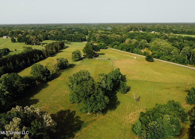 103 Hidden Lake Rd, Flora, MS 39071 - aerial view of sparsely populated area