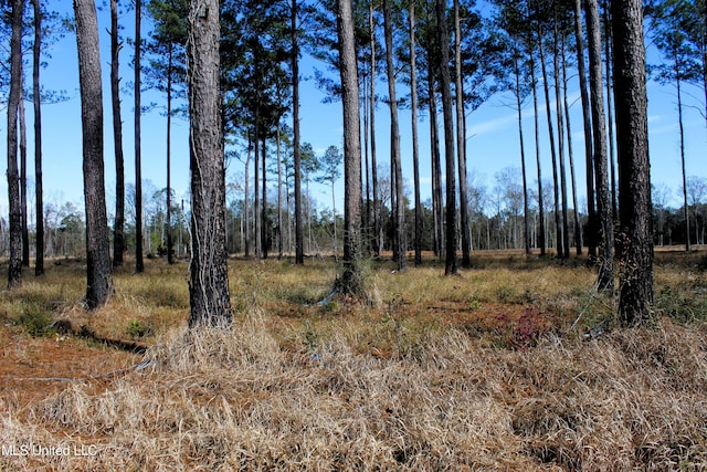 6.4ACRES Basin Central Rd, Lucedale MS, 39452 land for sale