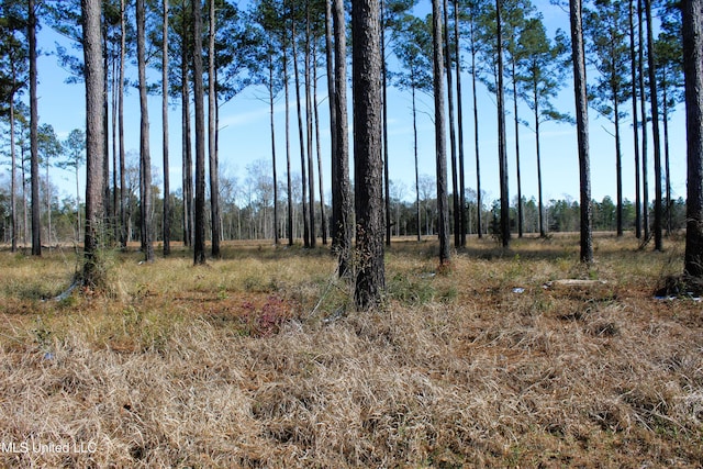 Listing photo 2 for 6.4ACRES Basin Central Rd, Lucedale MS 39452