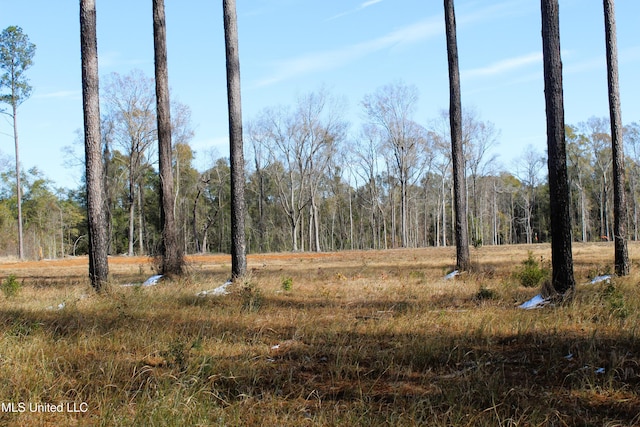 Listing photo 3 for 6.4ACRES Basin Central Rd, Lucedale MS 39452