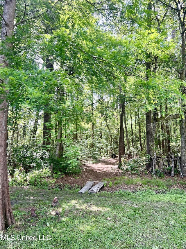 view of grassy yard featuring a forest view