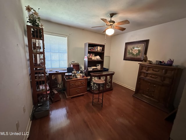 office featuring ceiling fan and dark hardwood / wood-style floors