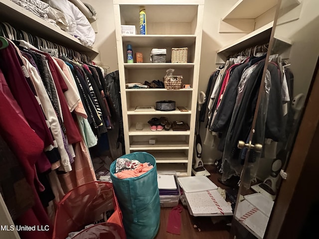 spacious closet with hardwood / wood-style floors