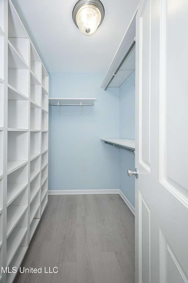 walk in closet featuring wood finished floors