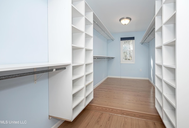 walk in closet with light wood-style floors