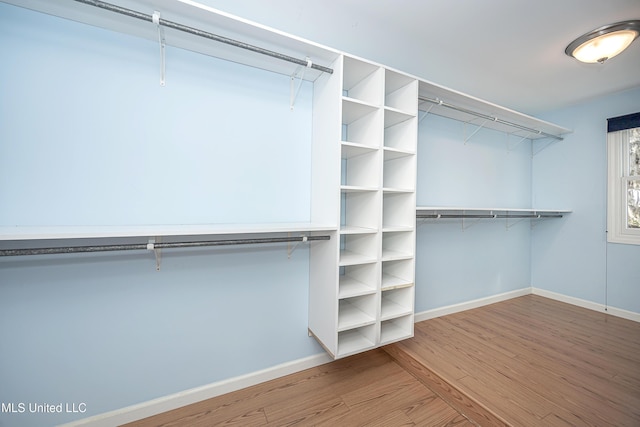 spacious closet with wood finished floors