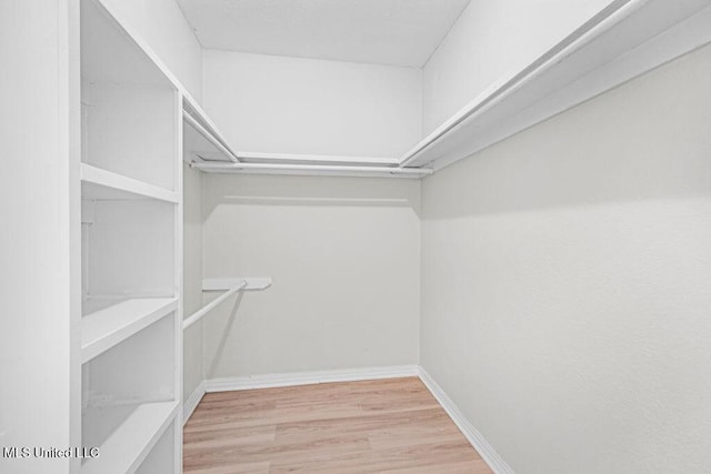 walk in closet featuring hardwood / wood-style flooring