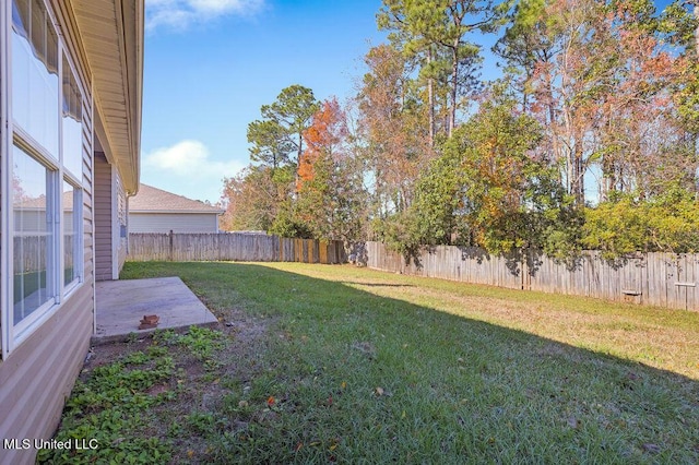 view of yard featuring a patio