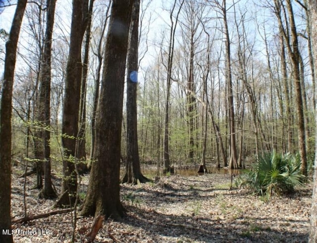 Walnut Rd, Carthage, MS 39051