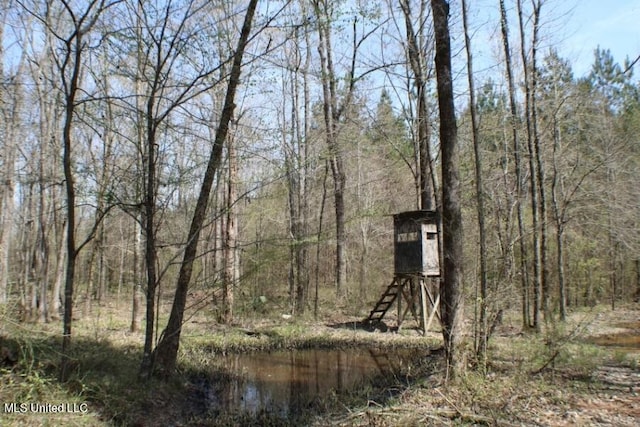 Walnut Rd, Carthage, MS 39051
