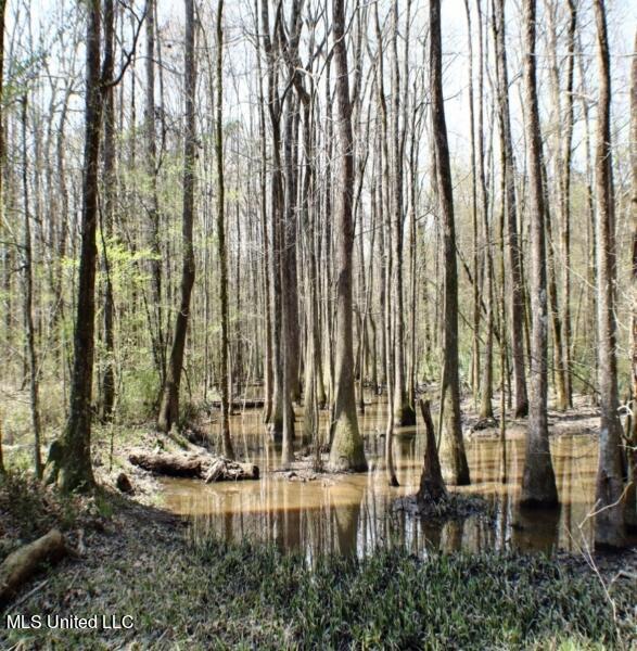 Walnut Rd, Carthage, MS 39051