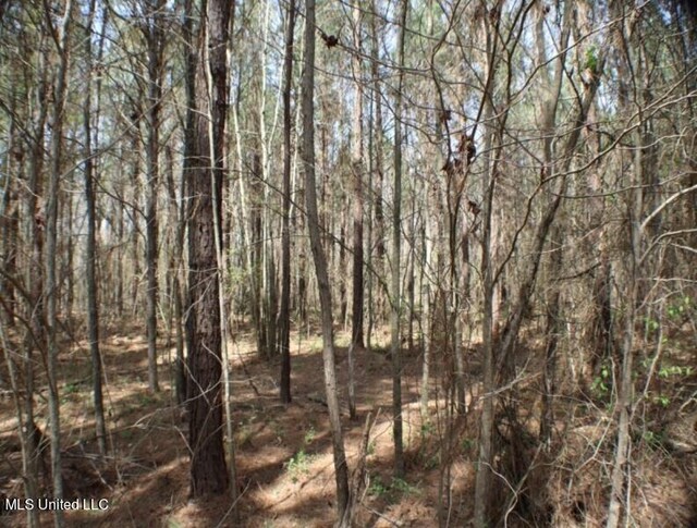 Walnut Rd, Carthage, MS 39051