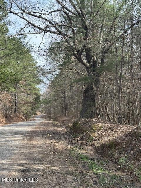 0 Cauthen Rd, Camden, MS 39045
