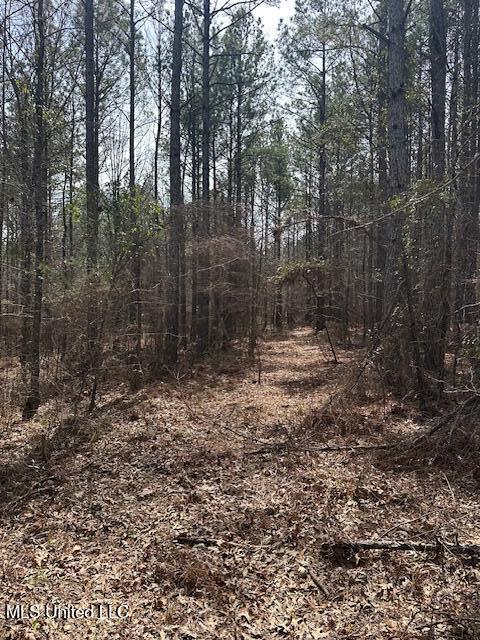 0 Cauthen Rd, Camden, MS 39045