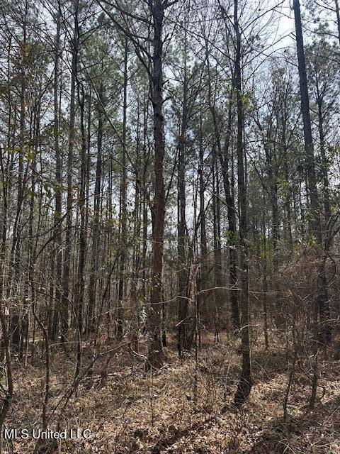 0 Cauthen Rd, Camden, MS 39045
