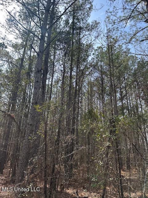 0 Cauthen Rd, Camden, MS 39045