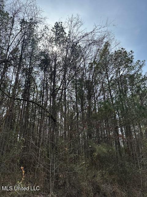 0 Cauthen Rd, Camden, MS 39045