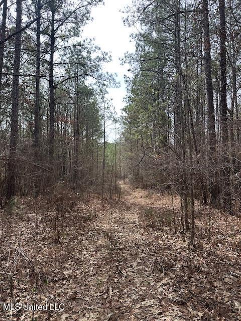 0 Cauthen Rd, Camden, MS 39045