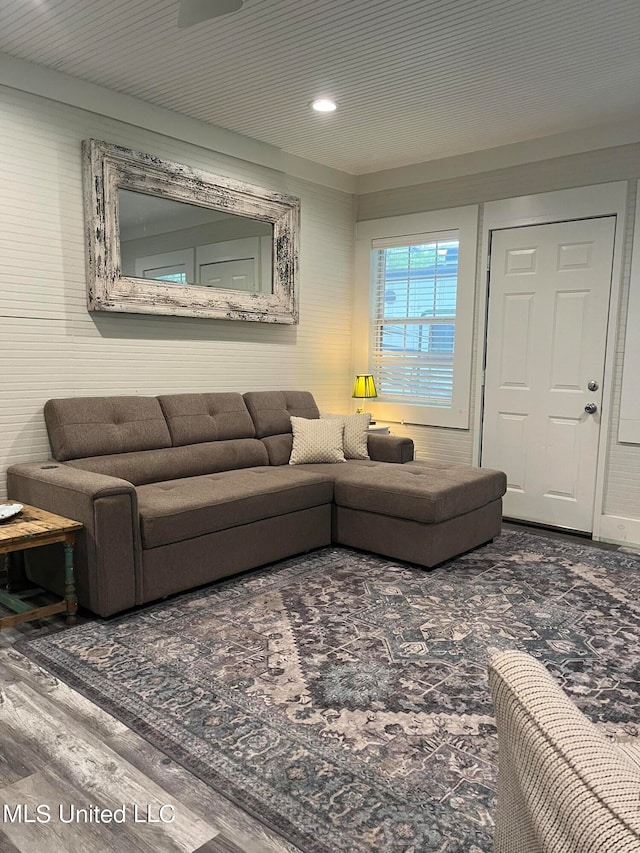 living room featuring wood-type flooring