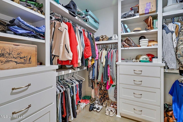 view of walk in closet