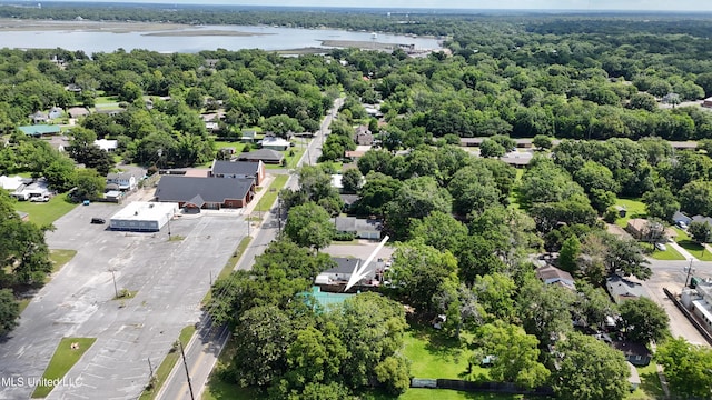 3902 Pascagoula St, Pascagoula, MS 39567 - drone / aerial view of a nearby body of water and a forest