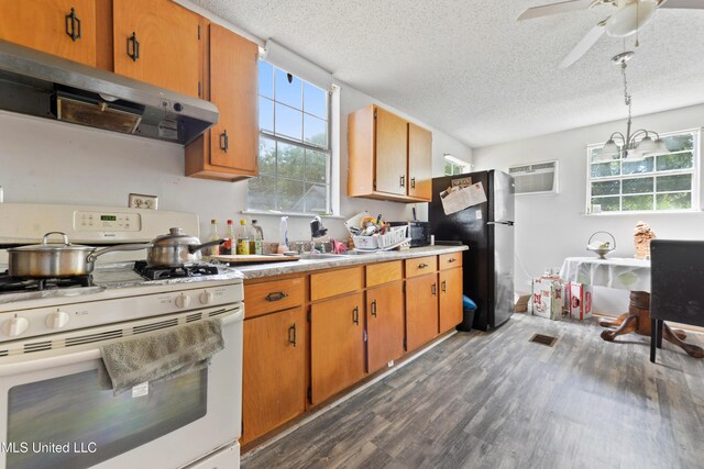 3902 Pascagoula St, Pascagoula, MS 39567 - kitchen featuring white range with gas stovetop, freestanding refrigerator, dark wood-type flooring, extractor fan, and plenty of natural light