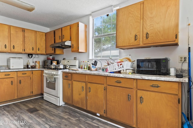 3902 Pascagoula St, Pascagoula, MS 39567 - kitchen with white range with gas cooktop, under cabinet range hood, dark wood-type flooring, black microwave, and light countertops