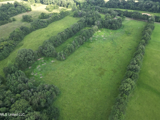 232 Renfroe Rd, Canton, MS 39046 - overview of rural landscape