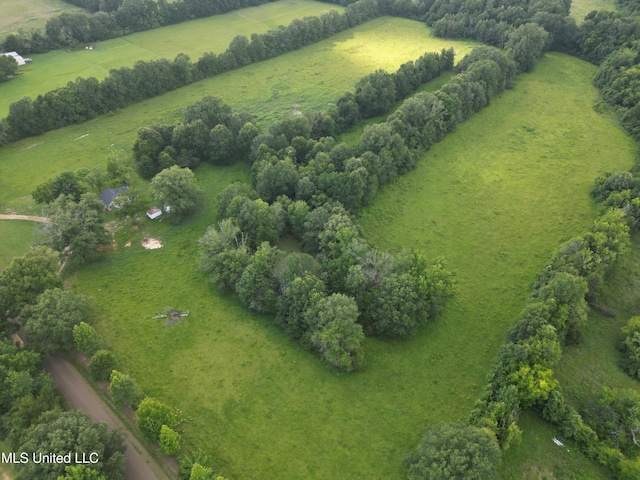 232 Renfroe Rd, Canton, MS 39046 - aerial view of sparsely populated area