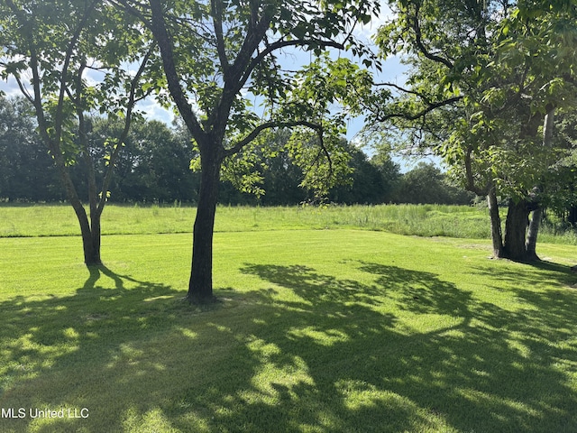 232 Renfroe Rd, Canton, MS 39046 - view of green lawn