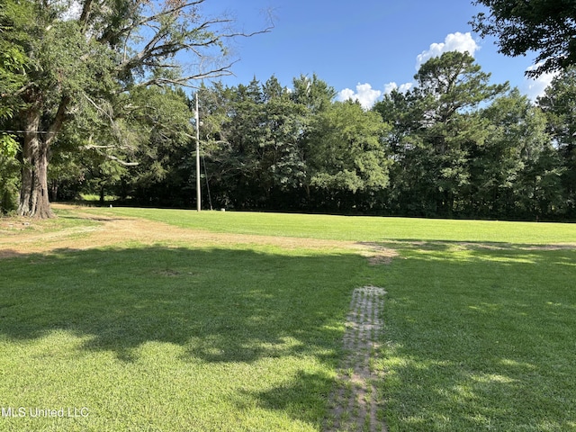 232 Renfroe Rd, Canton, MS 39046 - view of green lawn