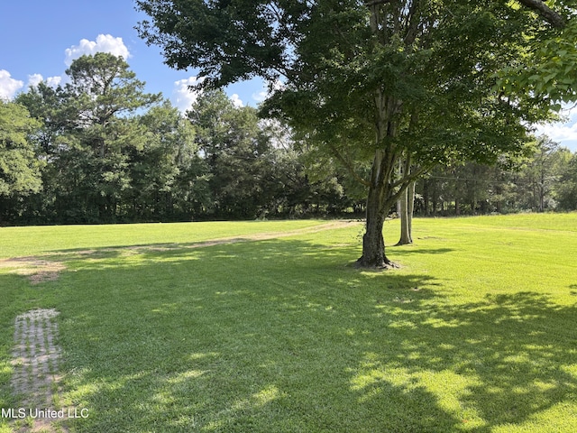 232 Renfroe Rd, Canton, MS 39046 - view of grassy yard