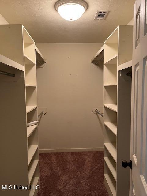 104 Blackstone Cir, Brandon, MS 39047 - spacious closet featuring dark carpet