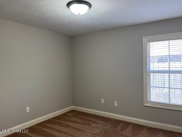 104 Blackstone Cir, Brandon, MS 39047 - spare room featuring dark carpet, plenty of natural light, and a textured ceiling