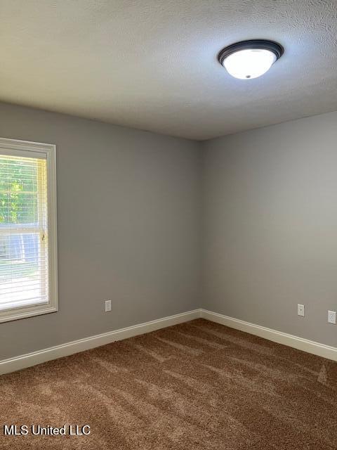 104 Blackstone Cir, Brandon, MS 39047 - empty room featuring dark carpet