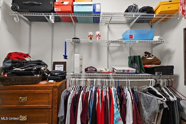 2003 Canterbury Pl W, Brandon, MS 39042 - view of walk in closet