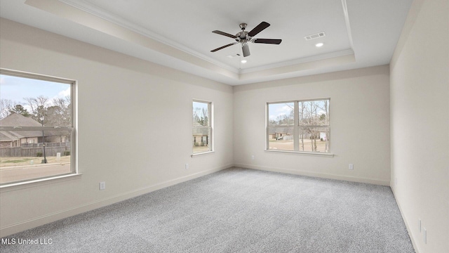 spare room with a wealth of natural light, a raised ceiling, and carpet flooring