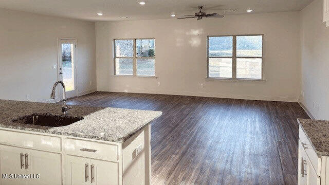 kitchen featuring light stone counters, sink, dark hardwood / wood-style floors, and white cabinets