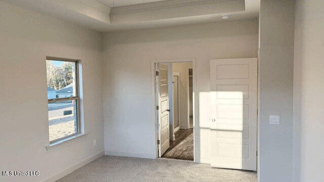 carpeted spare room featuring a tray ceiling