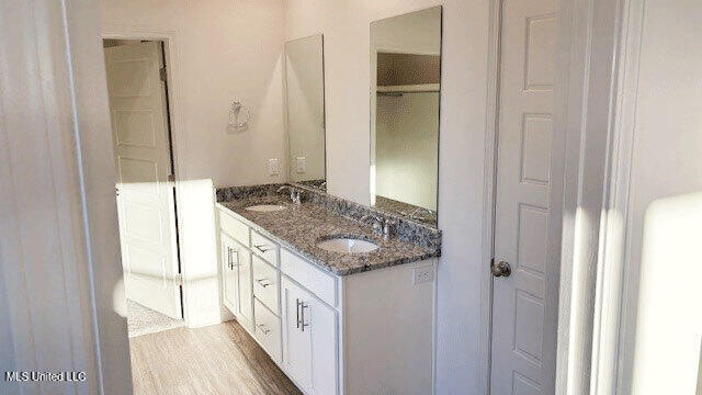 bathroom with hardwood / wood-style flooring and vanity